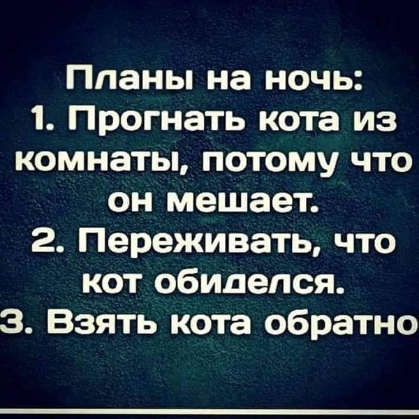 И не спать полночи, из-за угрызений совести!) Спокойной ночи