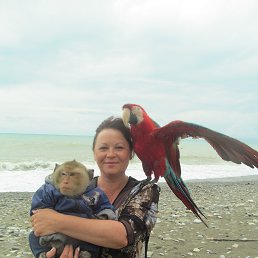 �������, ������, 58 ���