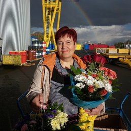 �������, ���������, 66 ���