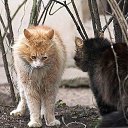  Saturn,  -  21  2019    