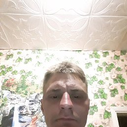 ���� �������, ���������, 42 ���� - ��������� 11 ������� 2019