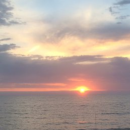 �����, ����, 38 ���