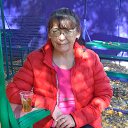 ���� *�������*, ������ - ��������� 7 ������� 2019 � ������ ���� ����������