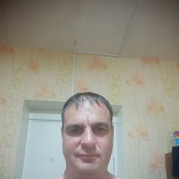 ������, �������, 45 ���