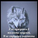 ���� �����, ������� - ��������� 12 ���� 2019 � ������ ���� ����������