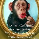 ���� �����, �������� - ��������� 4 �������� 2019 � ������ ������