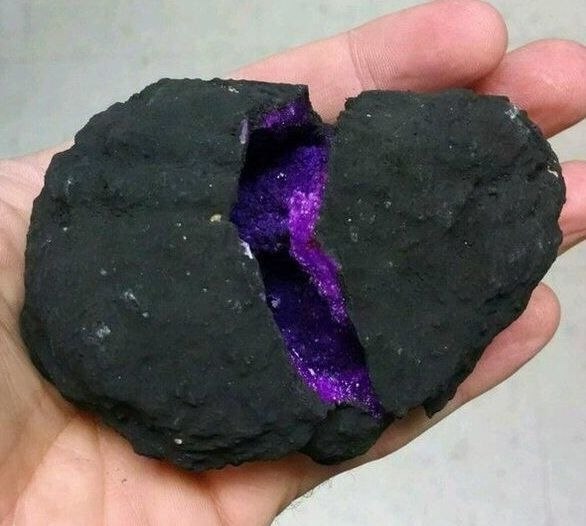 ������ �� ����, � ��� ���. � ������ �. �������� - 2