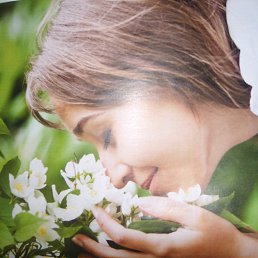 ��������, �����������, 56 ���