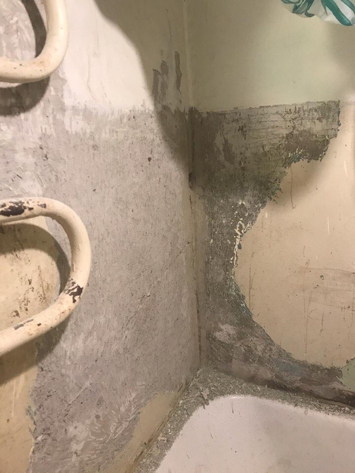   ,    ,    - 2