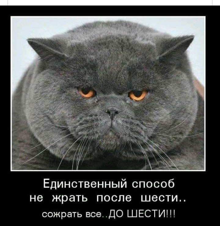 Юрий Плеханов - 17 мая 2019 в 10:17