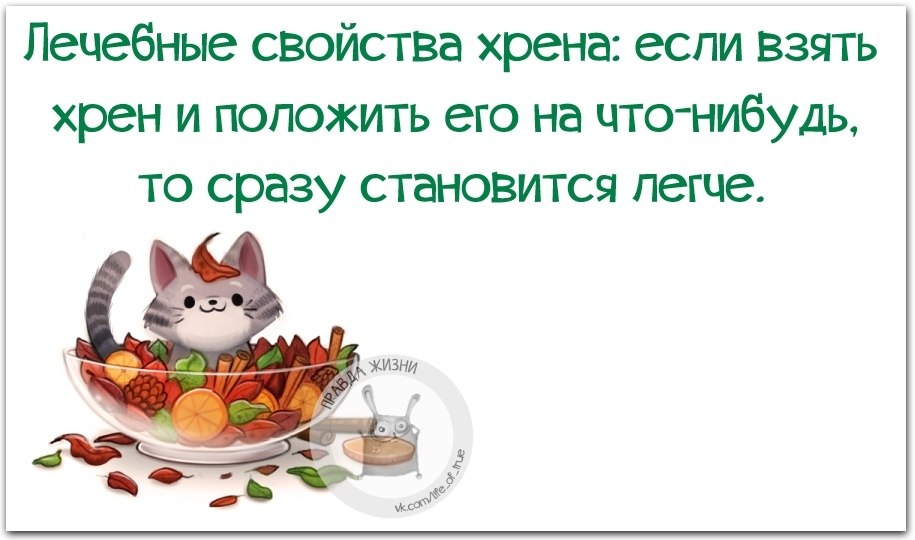 ������ ����� - 6 ������� 2019 � 19:01