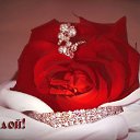 ���� �������, �����������, 50 ��� - ��������� 8 ������ 2019 � ������ ������