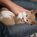 ���� �����, ��������, 23 ���� - ��������� 9 ���� 2019 � ������ ���� ����������