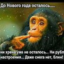 ���� ����, ���������, 50 ��� - ��������� 3 ������ 2020 � ������ ���� ����������