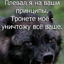 ���� Archi, ����������� - ��������� 31 ������� 2019 � ������ ���� ����������
