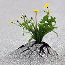  ••,  -  11  2019       ...