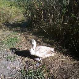 ���� ������, ���������-�������, 55 ��� - ��������� 3 ������� 2019