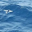 ���� �������, �����������, 74 ���� - ��������� 29 ��� 2019 � ������ ���� ����������