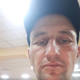 ����, ������, 41 ���