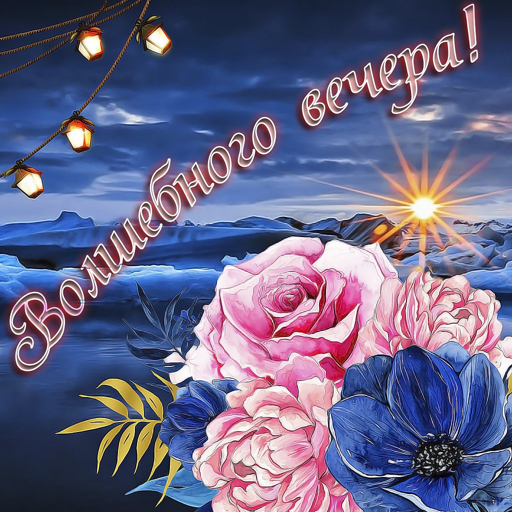   ,    . - 26  2019  17:40