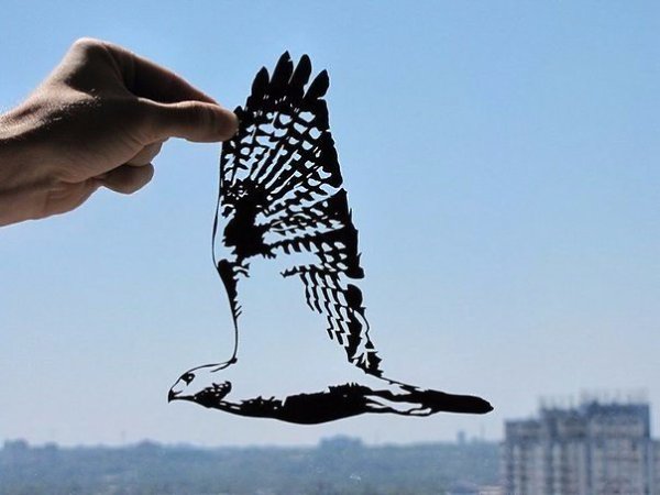 Творческий дуэт DreamPapercut (влюбленная пара Дмиртрий и Юлия) - 4