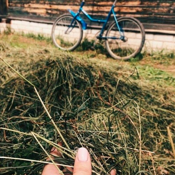   - : - 4