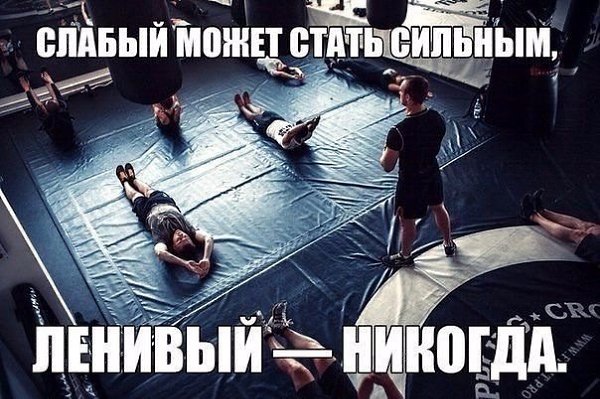 SportFeed - 6  2019  03:34