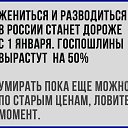���� ����, ������ - ��������� 9 ������ 2019 � ������ ������
