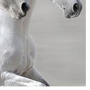 ���� ������, ���� - ��������� 8 ������� 2019 � ������ ���� ����������