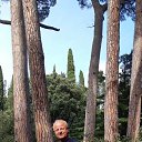 ���� ��������, ���� - ��������� 11 ������ 2019