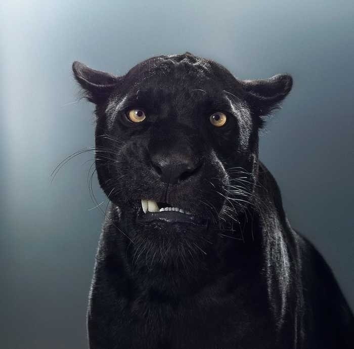     ,         ,  ... - 9