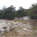 ���� ������, ������, 54 ���� - ��������� 2 ������� 2019 � ������ ������ ��������