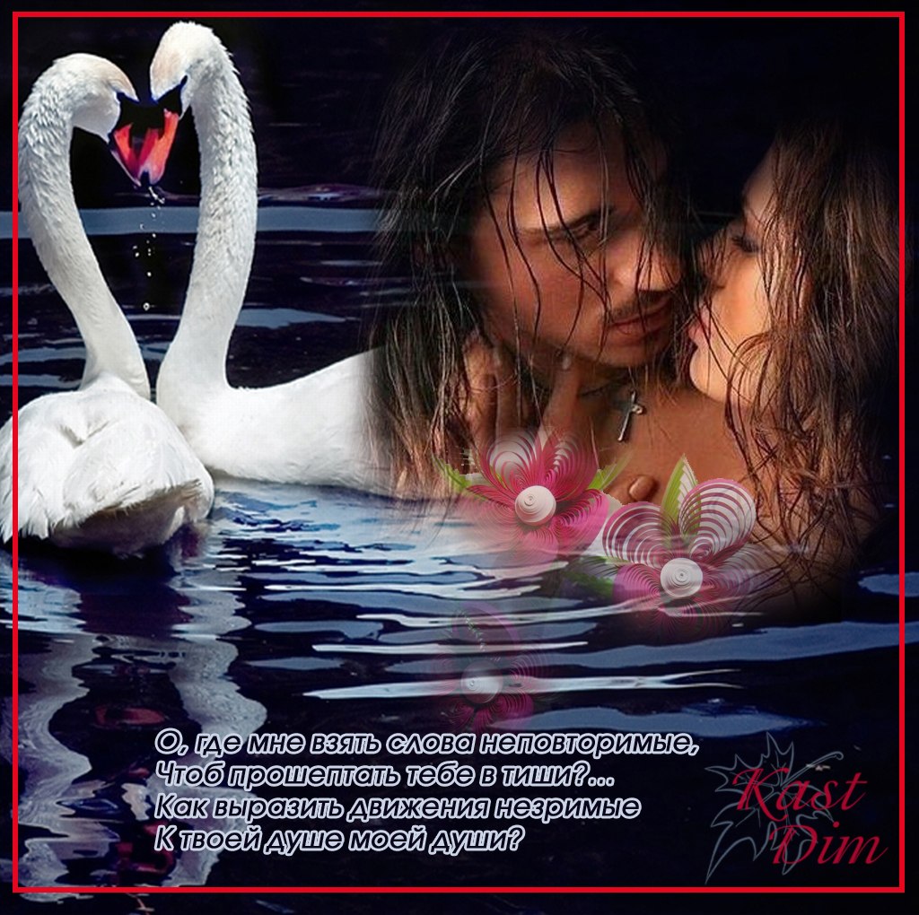 Алмазная мозаика неразлучники. Влюбленные птички. Картинка союз неразлучных. Объятия влюбленных рисунки. Неразлучная любовь.