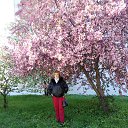 ���� �����, �����, 51 ��� - ��������� 25 ��� 2019 � ������ ���� ����������