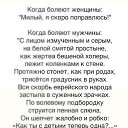 ���� �����, ����� - ��������� 7 ������� 2019 � ������ ���� ����������