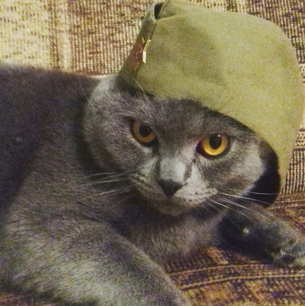  !