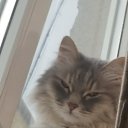 ���� Natafe, �������� - ��������� 26 ������� 2019 � ������ ���� ����������