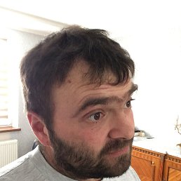 ³����, �����-���������, 41 ���