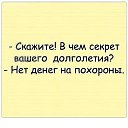 ���� �������, ���������, 66 ��� - ��������� 9 ������ 2019 � ������ ���� ����������