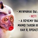  ,  -  4  2019   