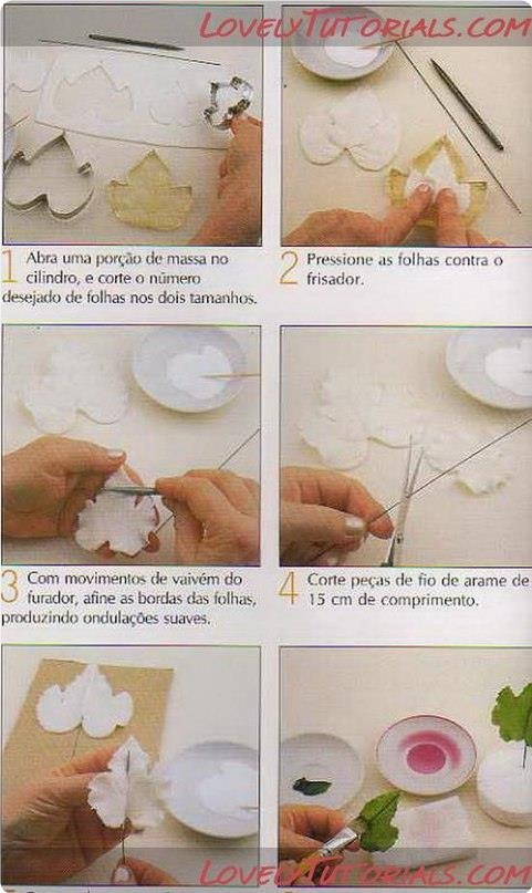 ���o�pa�. - 3