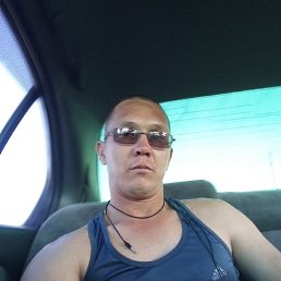 �������, ���������, 41 ���