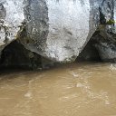 ���� ������, �������, 68 ��� - ��������� 1 ������ 2019 � ������ ������.��. ������.������.�