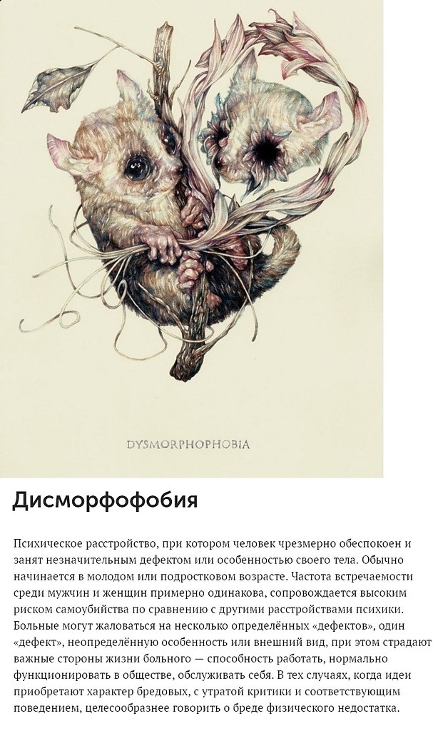   o  . By Marco Mazzoni - 4