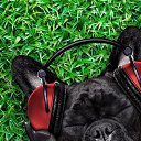 ���� ���������, �����, 45 ��� - ��������� 10 ������ 2019 � ������ ���� ����������