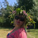 ���� ��������, ���� - ��������� 13 ������� 2019 � ������ ���� ����������