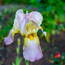 ���� �������, �����-���������, 57 ��� - ��������� 24 ���� 2019 � ������ ������ ��������