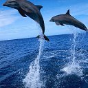 ���� �������, ��������� - ��������� 28 ��� 2019 � ������ ���� ����������