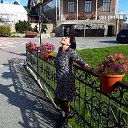  ,  , 50  -  24  2019    