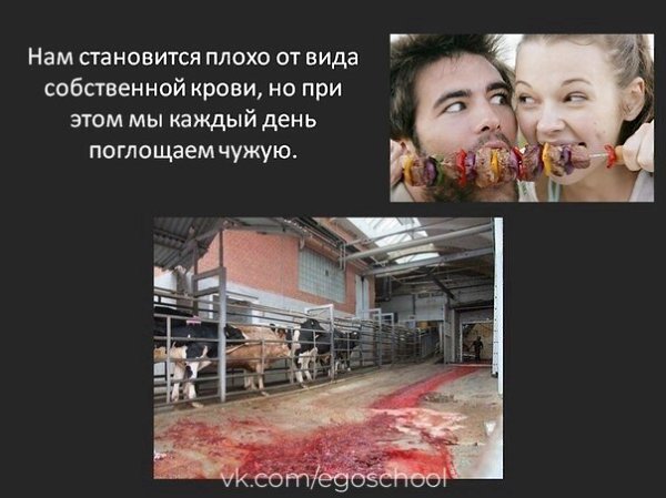 ��o���� ��a������, ���o��e �� �o����-�o �� �a�e���� - 8